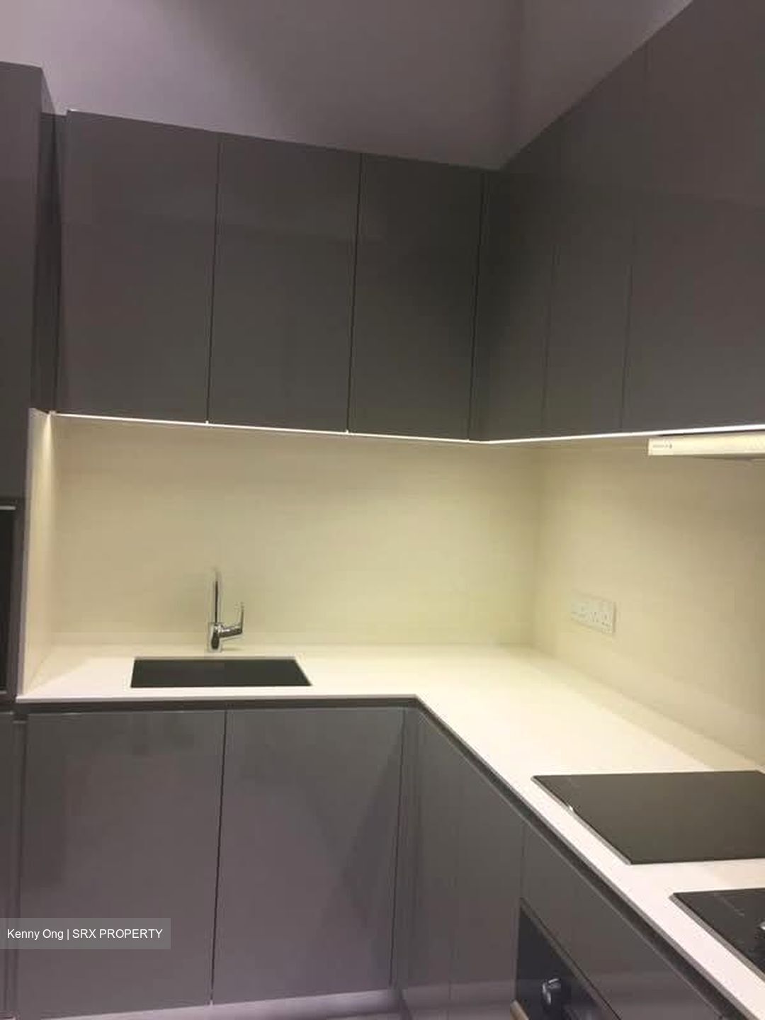 Robin Residences (D10), Condominium #558394191